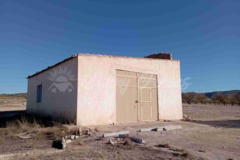 Finca i Caudete, Albacete, Caudete - € 29.995 | Ref: SF0480 - foto 5